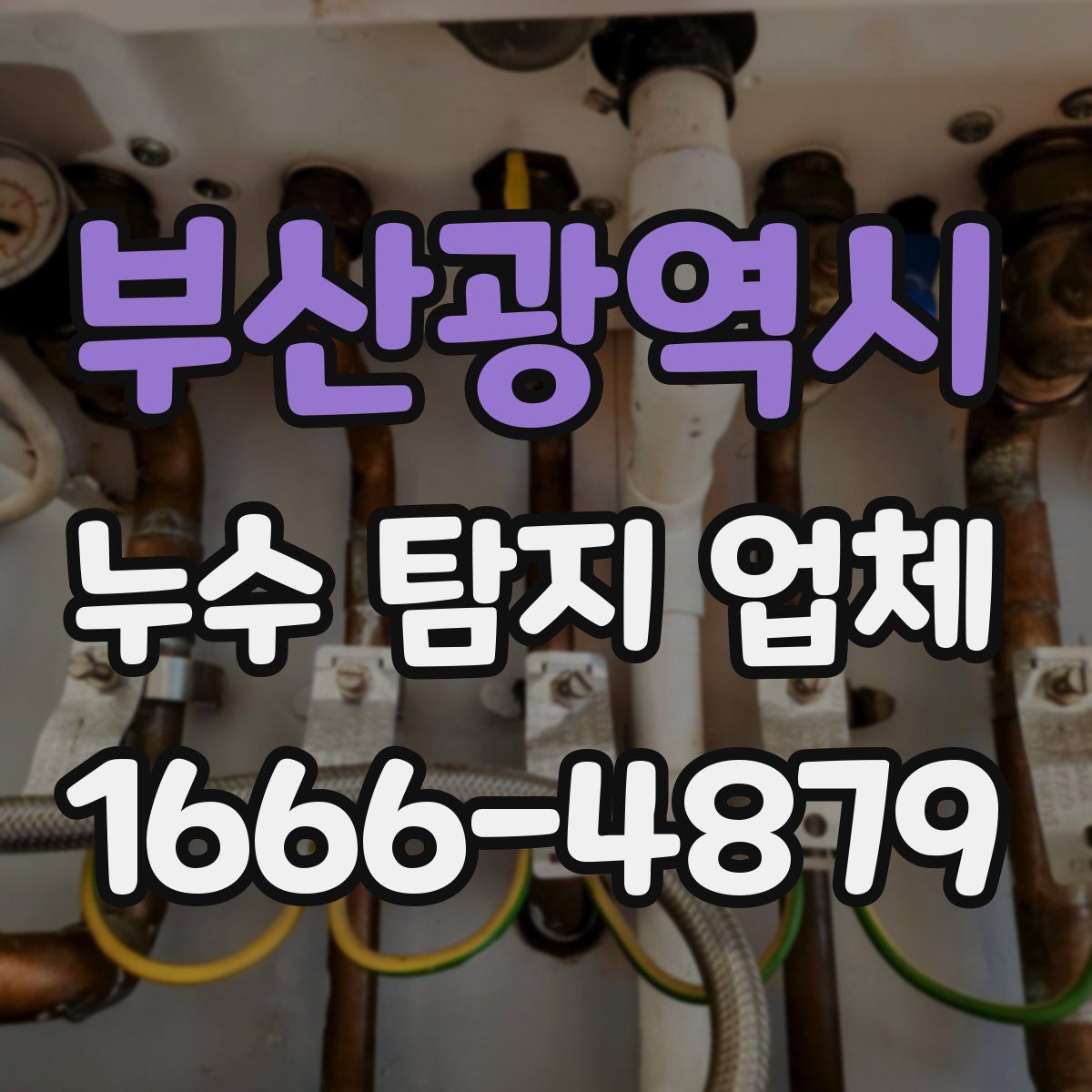 부산광역시 누수 탐지 업체
