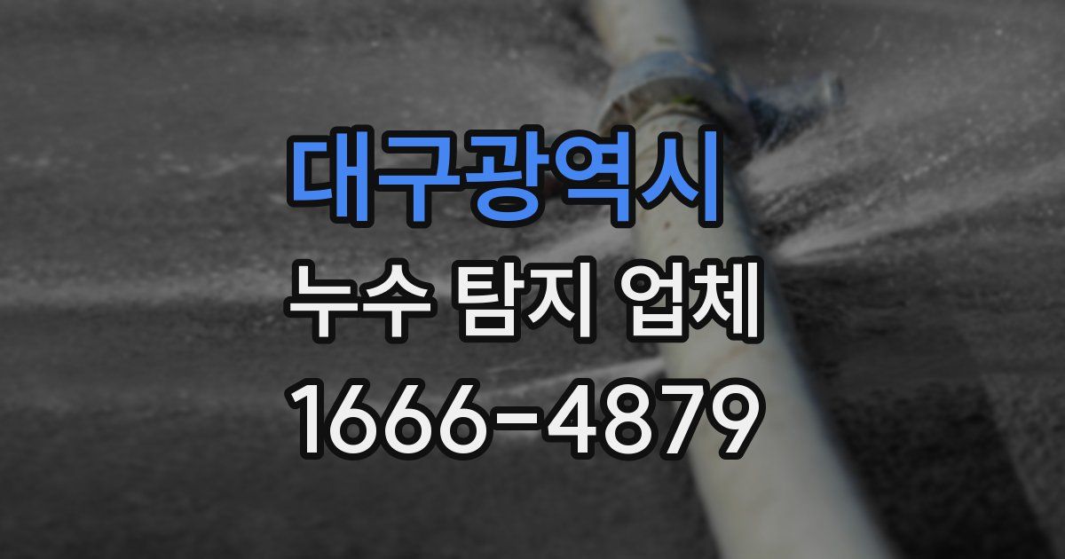 대구광역시 누수 탐지 업체