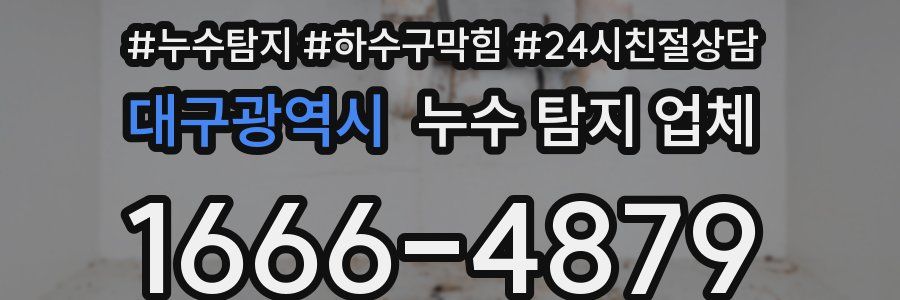 대구광역시 누수 탐지 업체