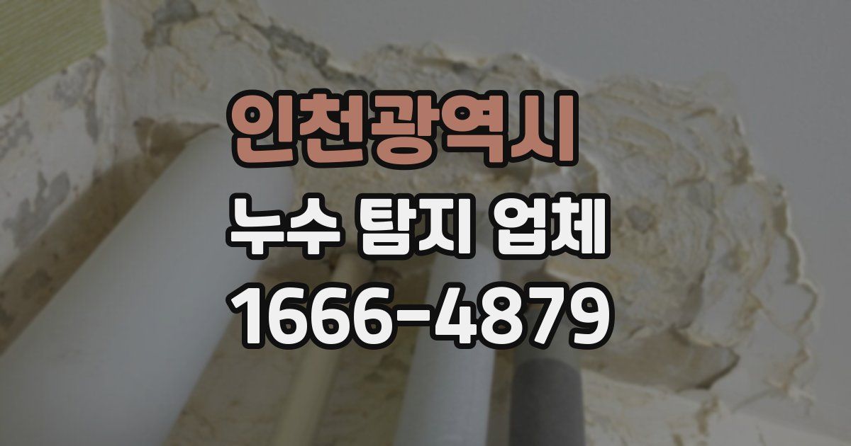 인천광역시 누수 탐지 업체