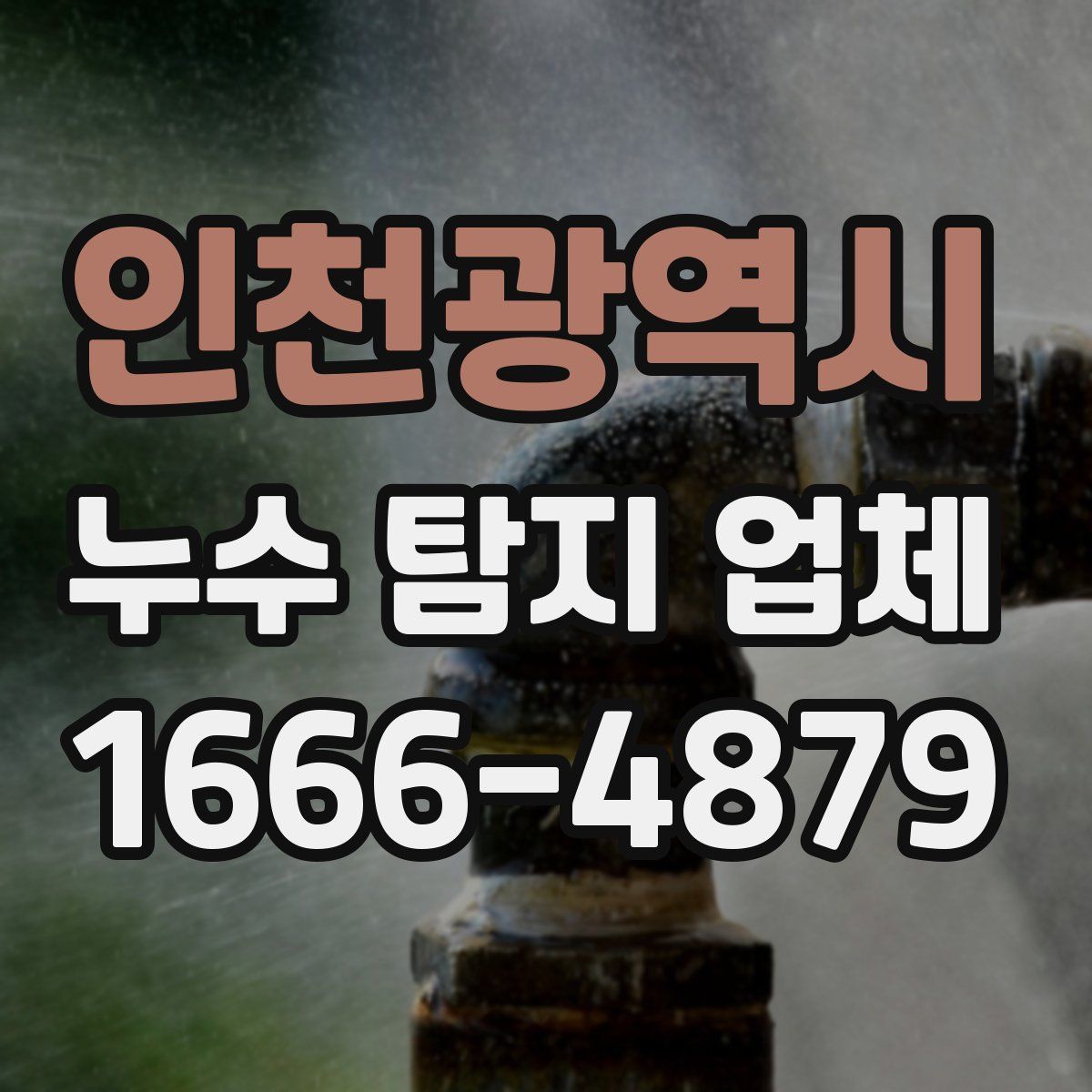 인천광역시 누수 탐지 업체