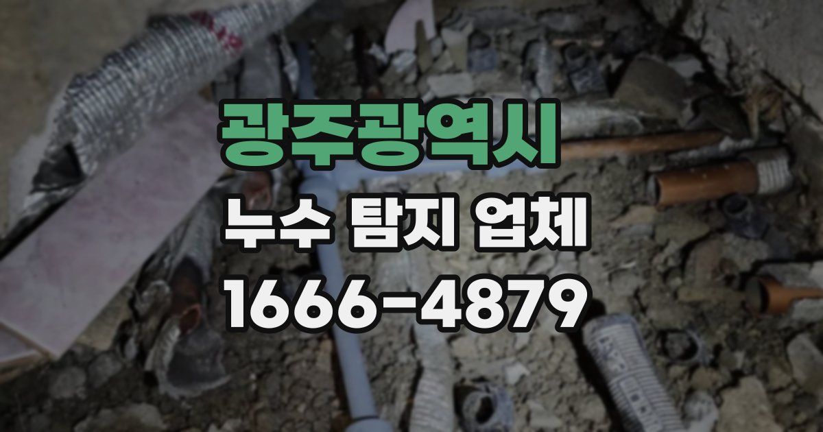 광주광역시 누수 탐지 업체