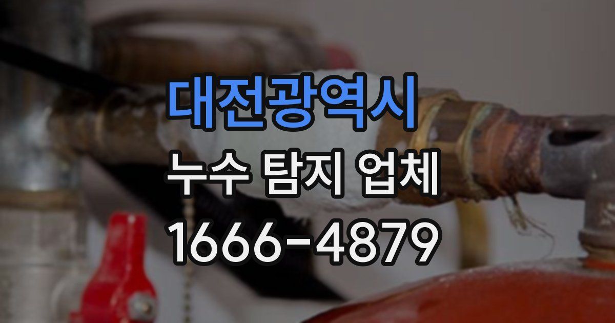대전광역시 누수 탐지 업체