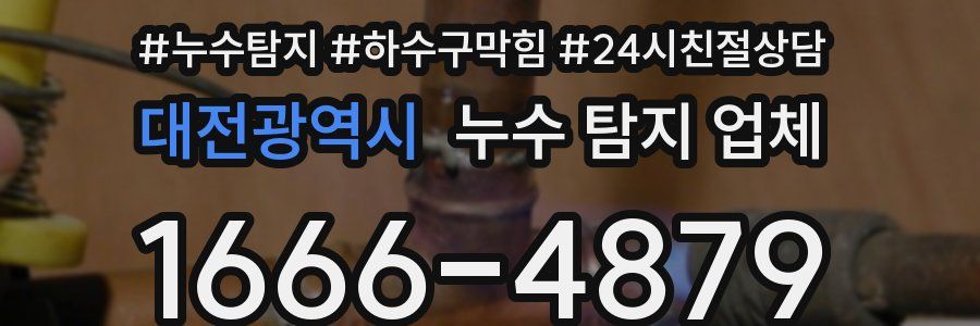 대전광역시 누수 탐지 업체