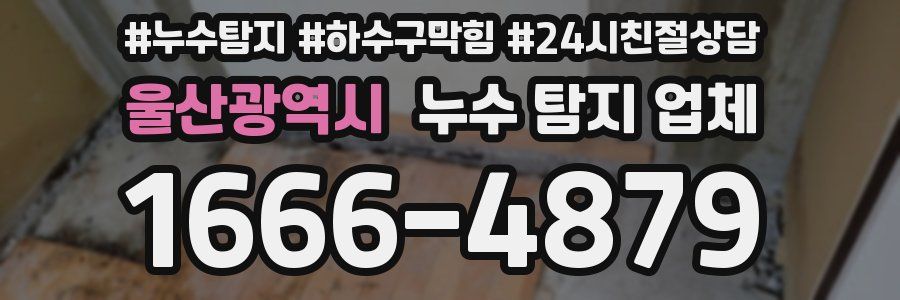 울산광역시 누수 탐지 업체