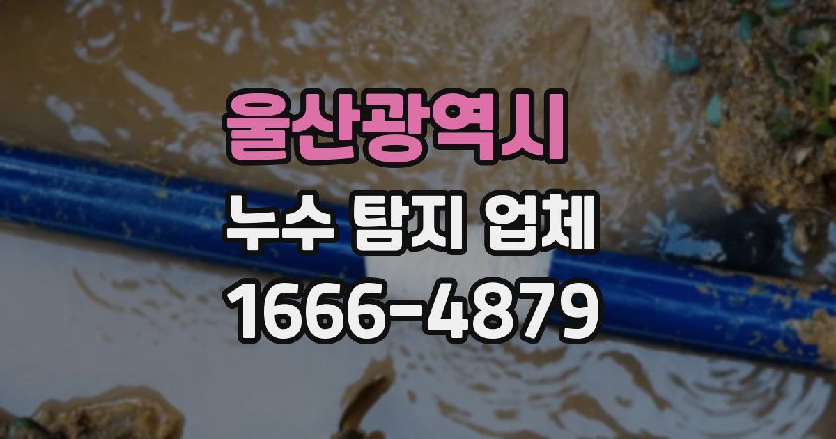 울산광역시 누수 탐지 업체