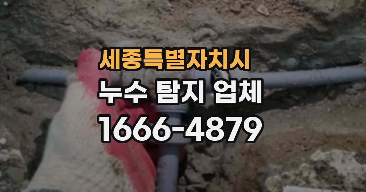 세종특별자치시 누수 탐지 업체