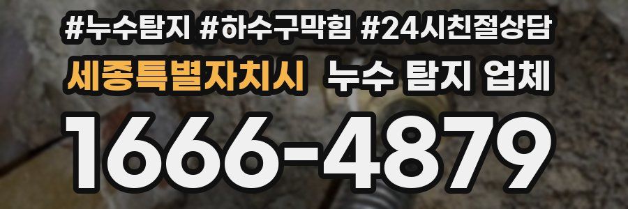 세종특별자치시 누수 탐지 업체