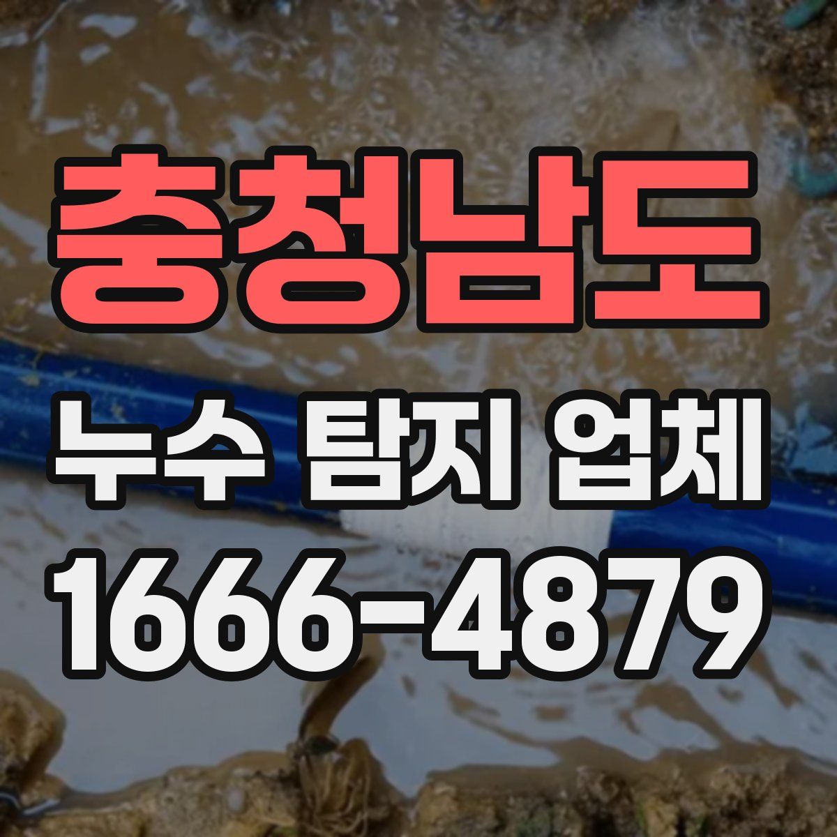 충청남도 누수 탐지 업체