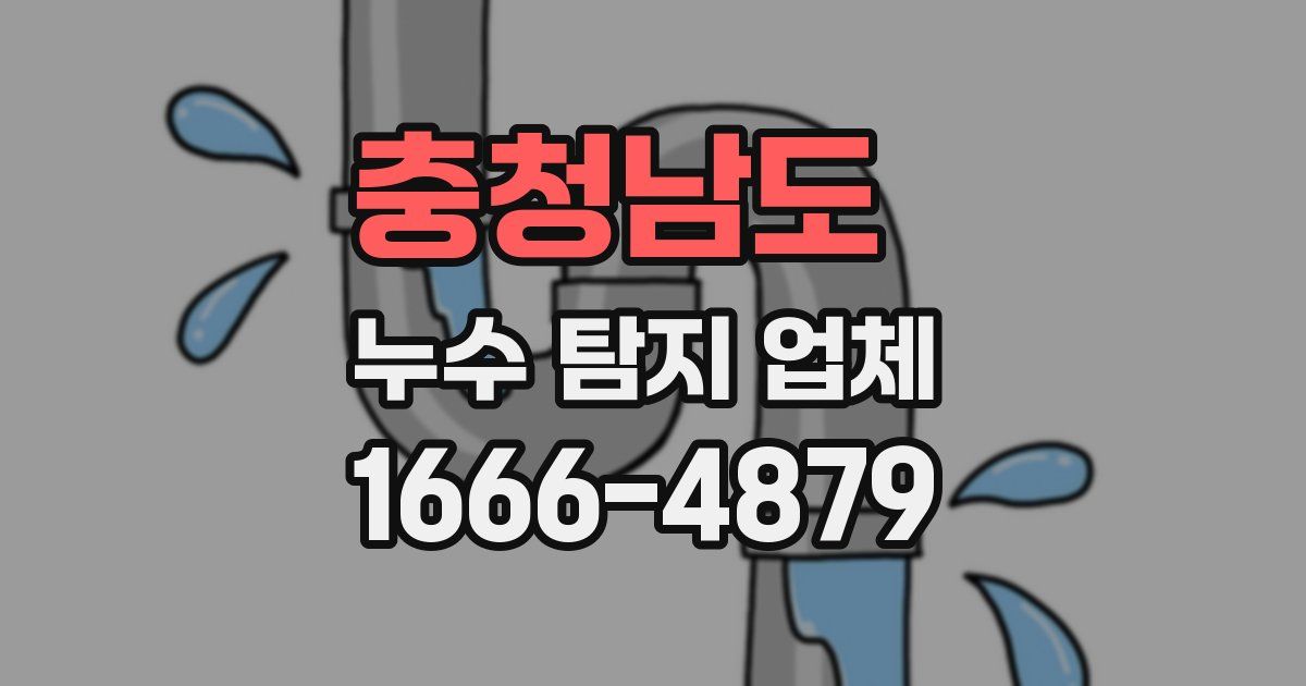 충청남도 누수 탐지 업체