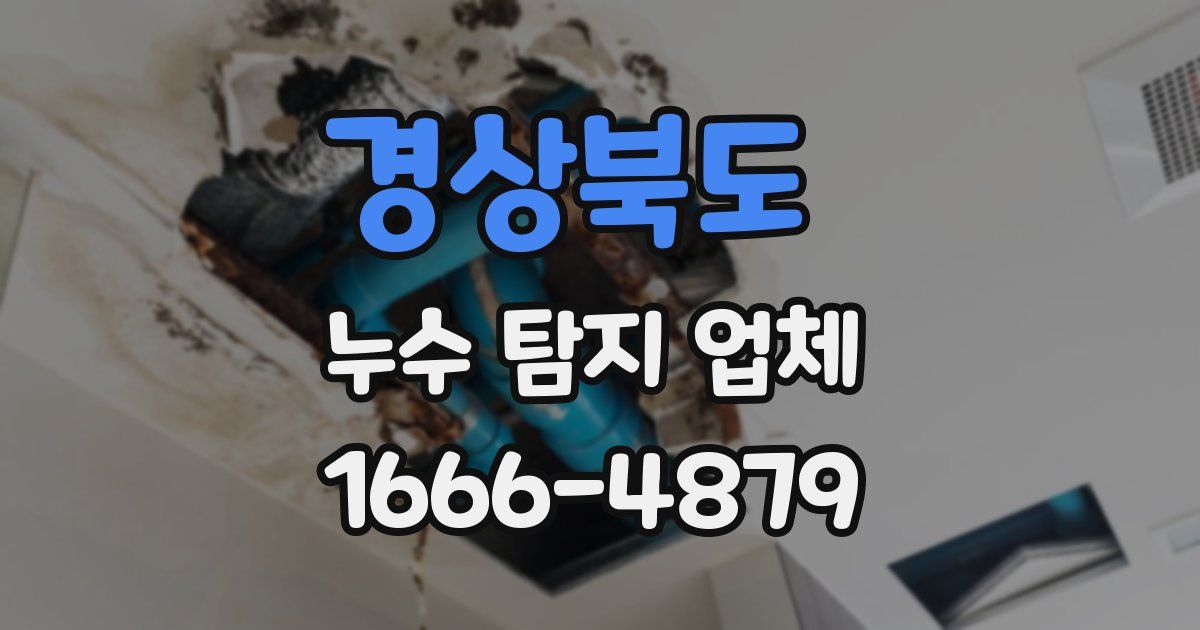 경상북도 누수 탐지 업체
