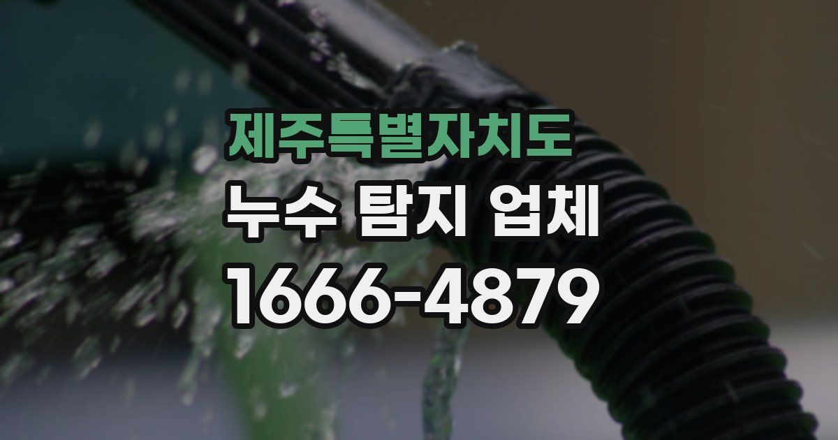 제주특별자치도 누수 탐지 업체