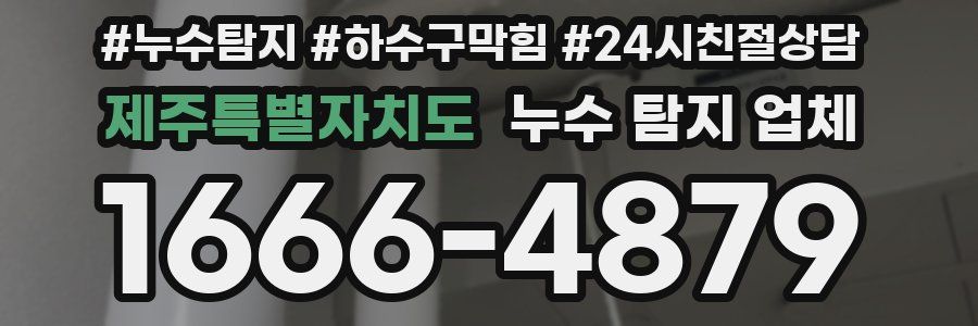 제주특별자치도 누수 탐지 업체