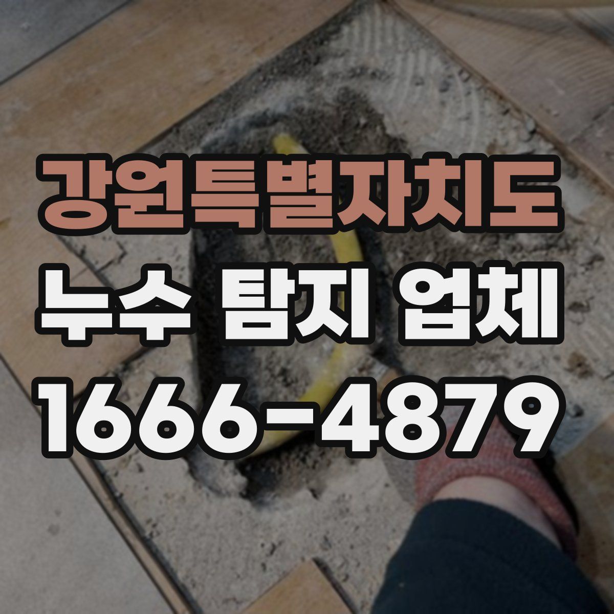 강원특별자치도 누수 탐지 업체