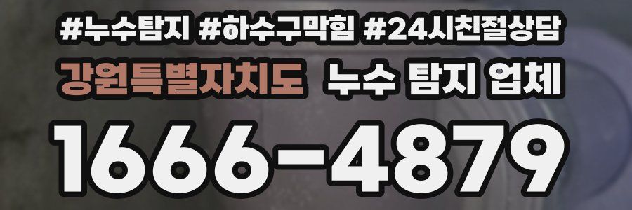 강원특별자치도 누수 탐지 업체