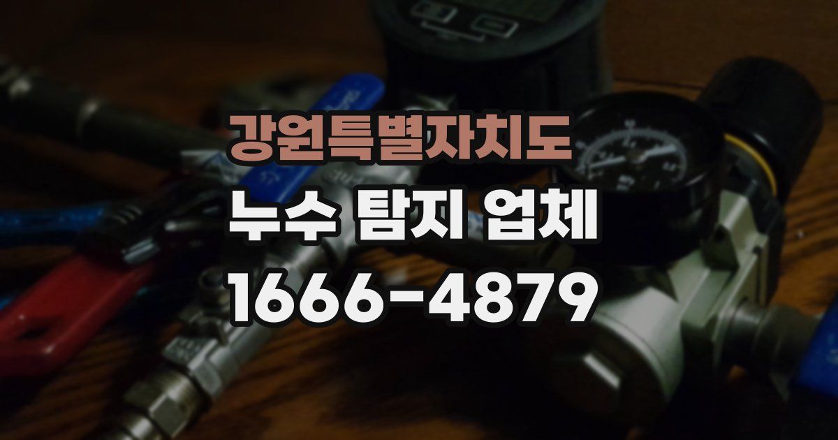 강원특별자치도 누수 탐지 업체