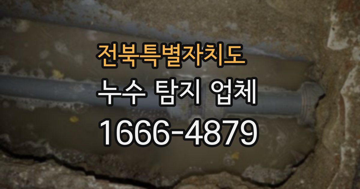 전북특별자치도 누수 탐지 업체