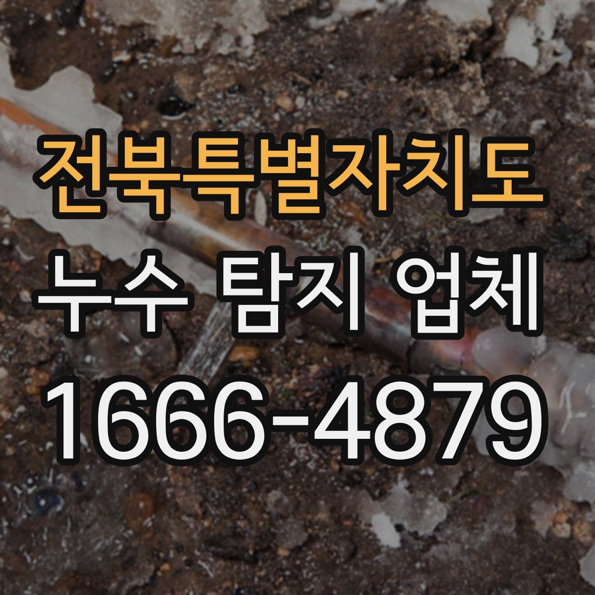 전북특별자치도 누수 탐지 업체