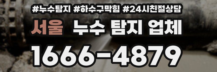 서울 누수 탐지 업체