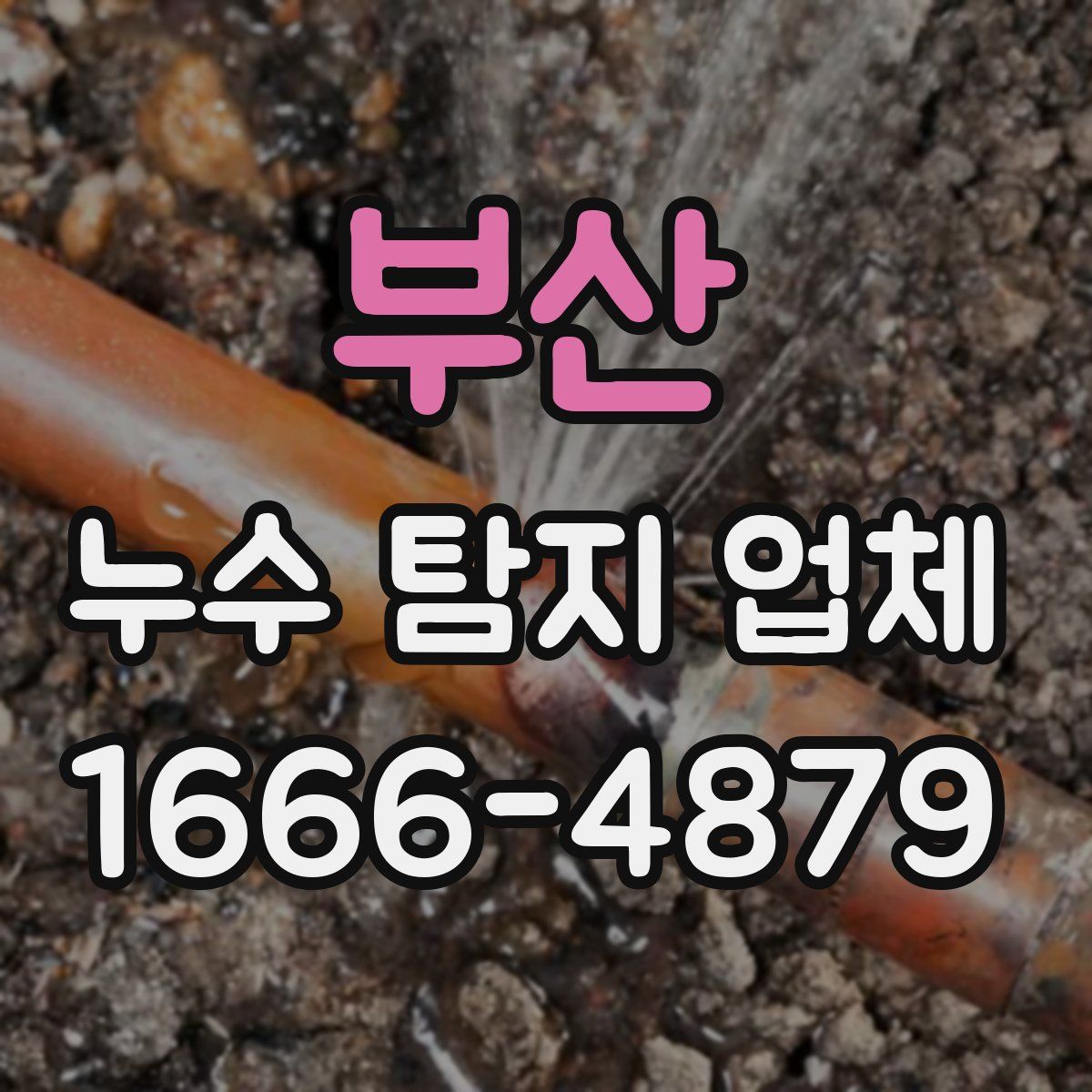 부산 누수 탐지 업체