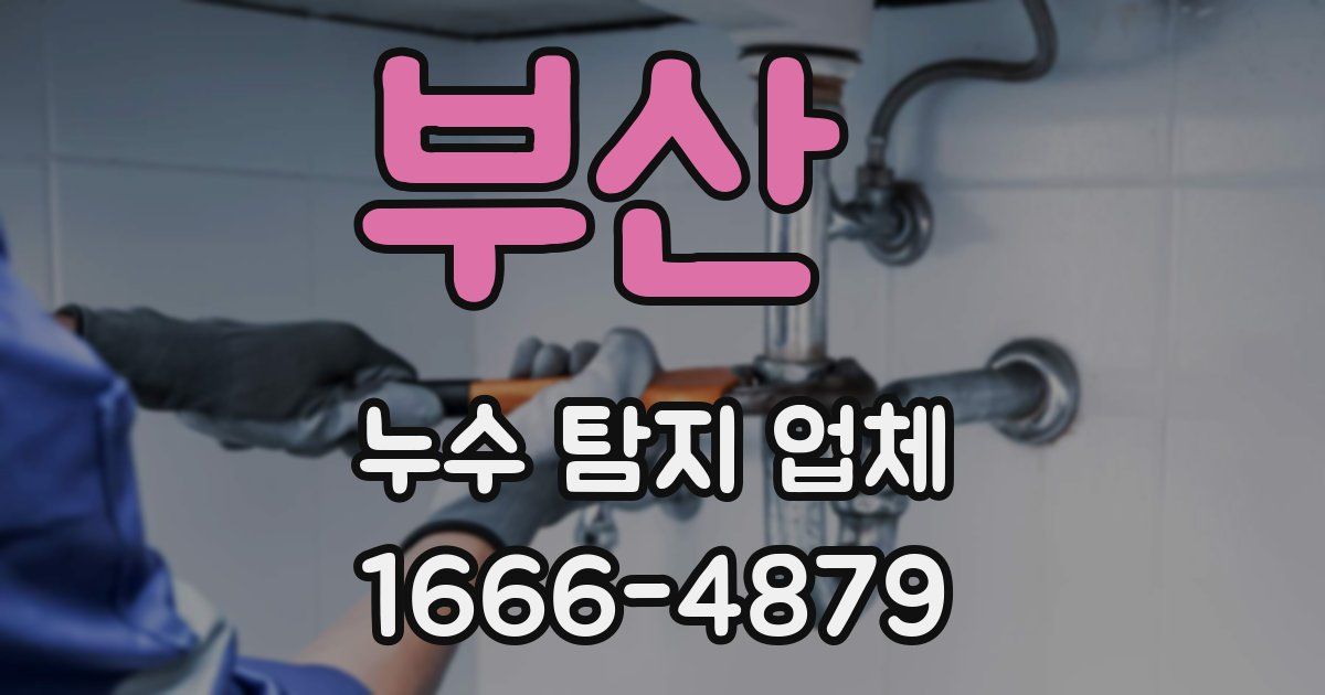 부산 누수 탐지 업체