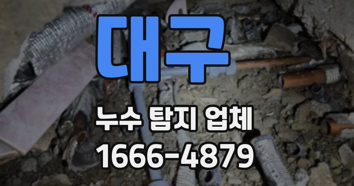 대구 누수 탐지 업체