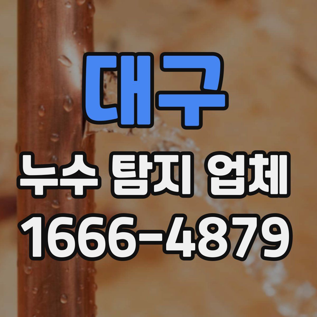 대구 누수 탐지 업체