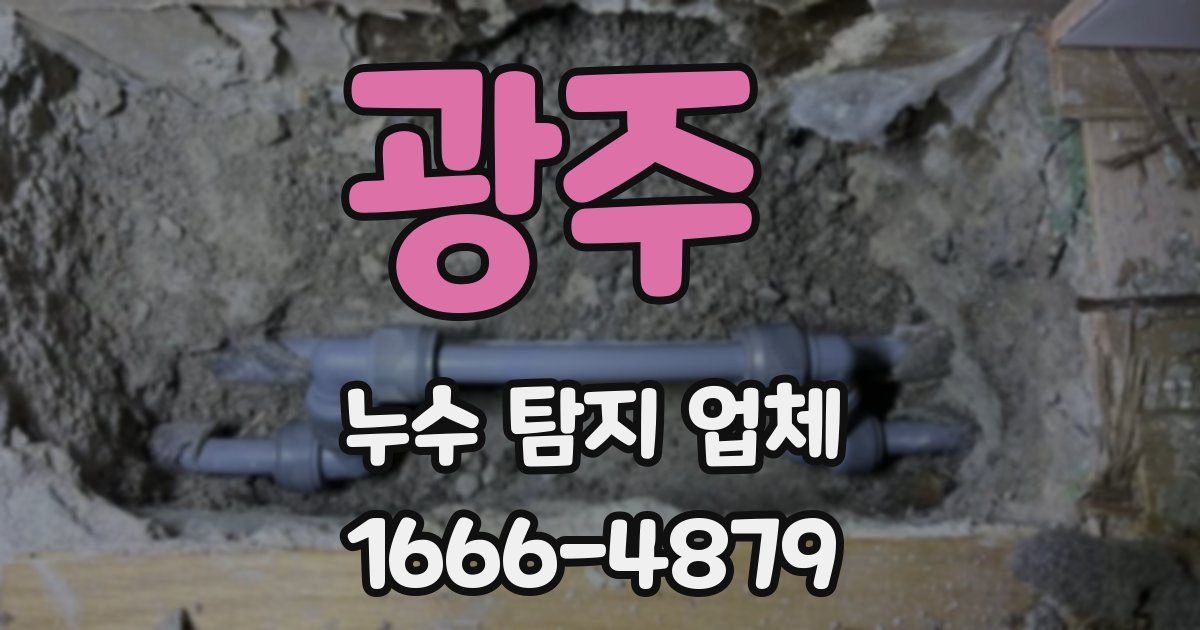 광주 누수 탐지 업체