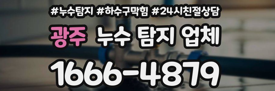 광주 누수 탐지 업체