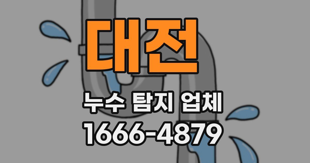 대전 누수 탐지 업체