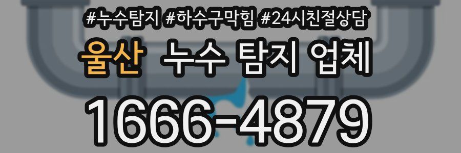 울산 누수 탐지 업체