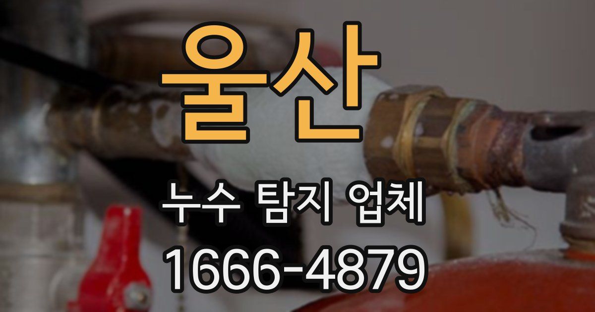 울산 누수 탐지 업체