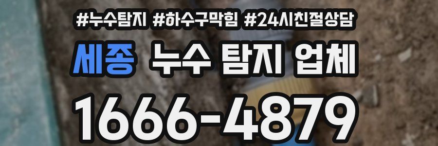 세종 누수 탐지 업체