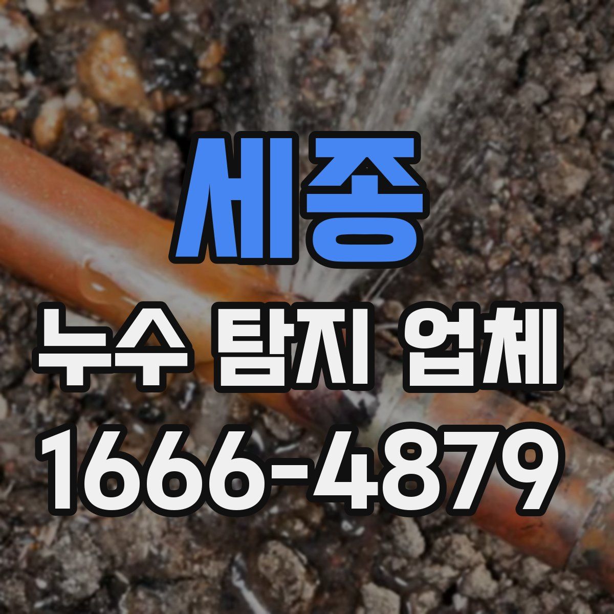 세종 누수 탐지 업체
