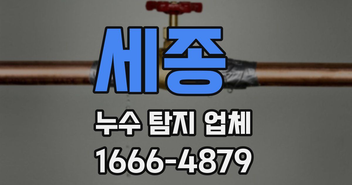 세종 누수 탐지 업체
