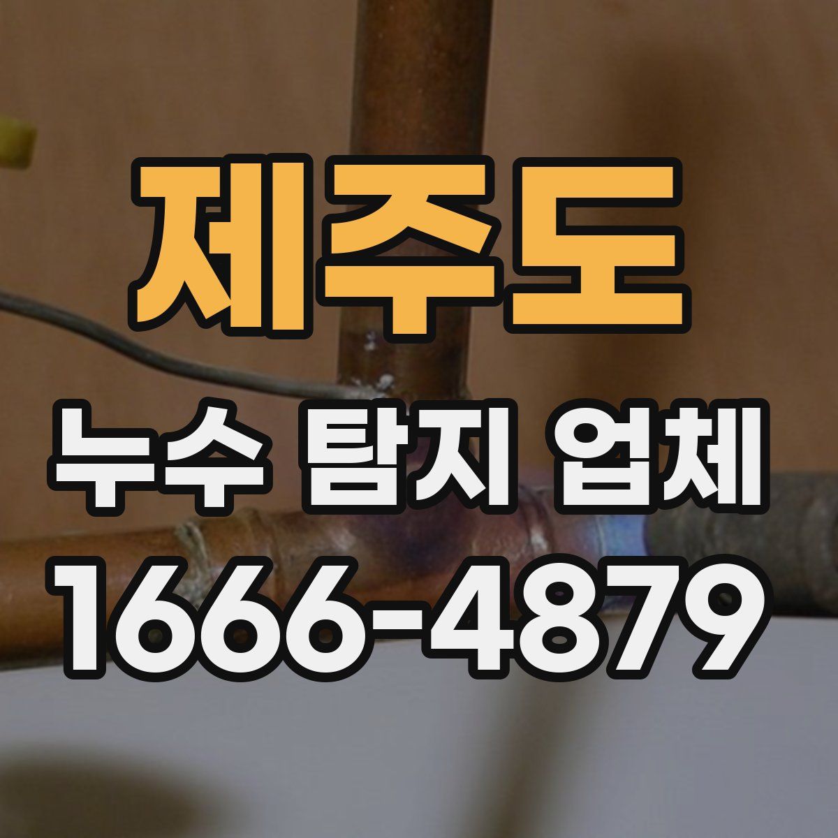 제주도 누수 탐지 업체