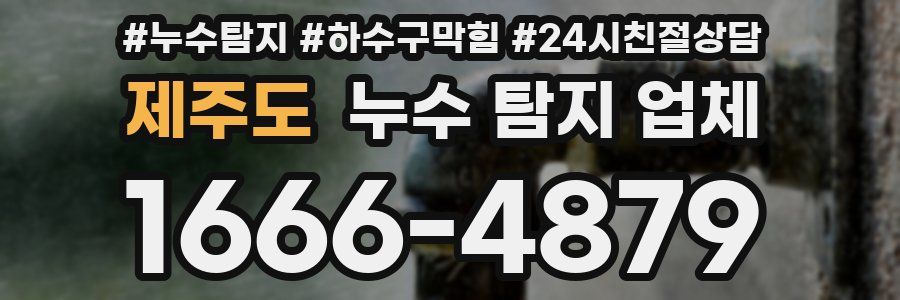 제주도 누수 탐지 업체