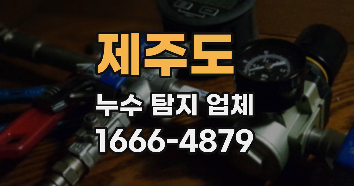제주도 누수 탐지 업체