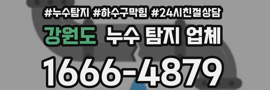 강원도 누수 탐지 업체