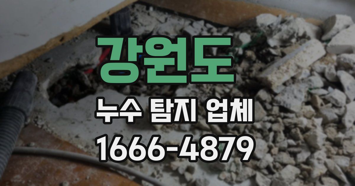 강원도 누수 탐지 업체