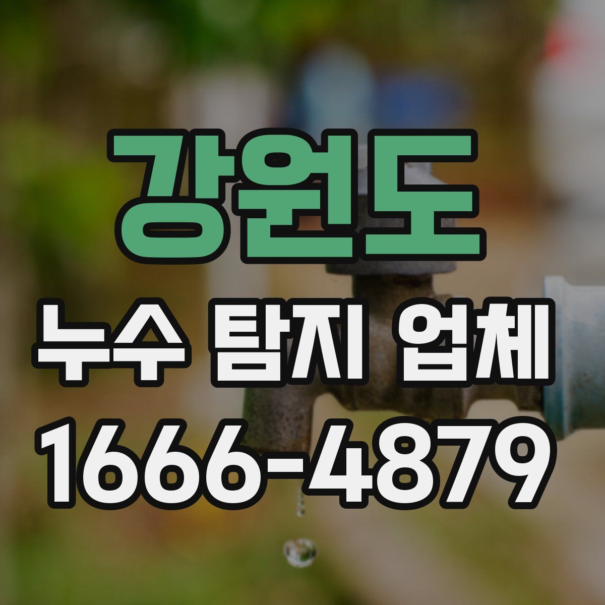 강원도 누수 탐지 업체