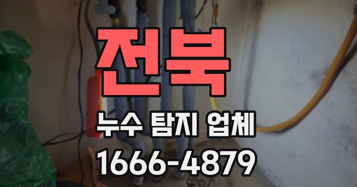 전북 누수 탐지 업체