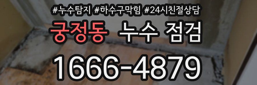 궁정동 누수 점검