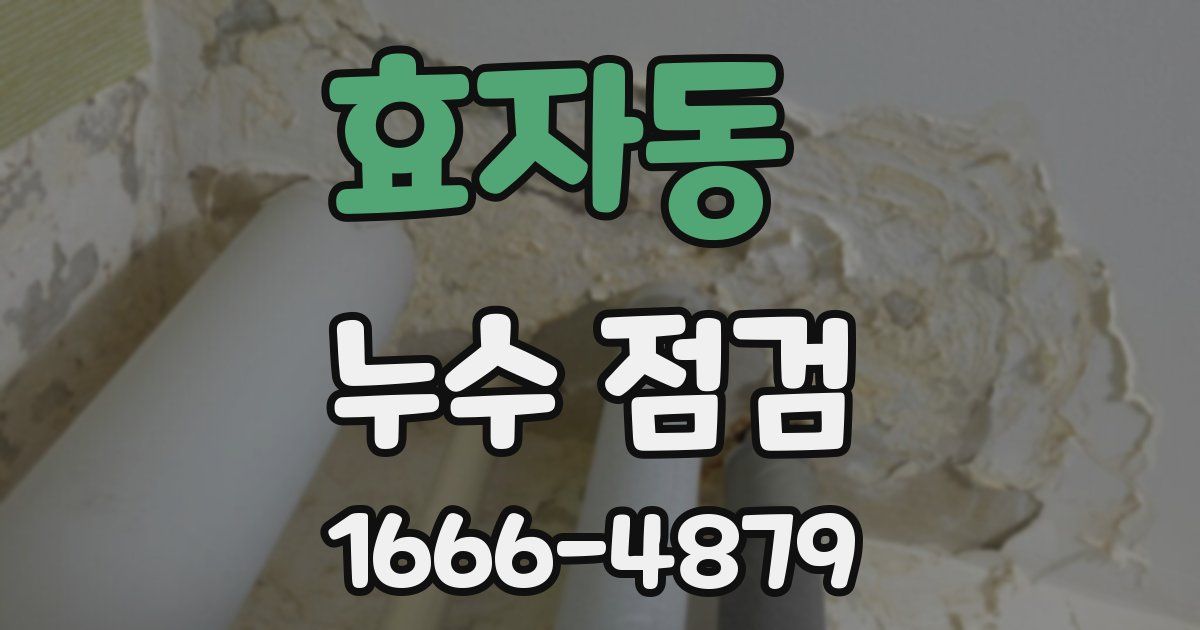 효자동 누수 점검