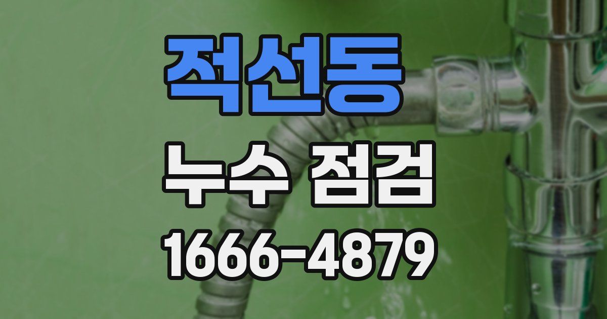 적선동 누수 점검