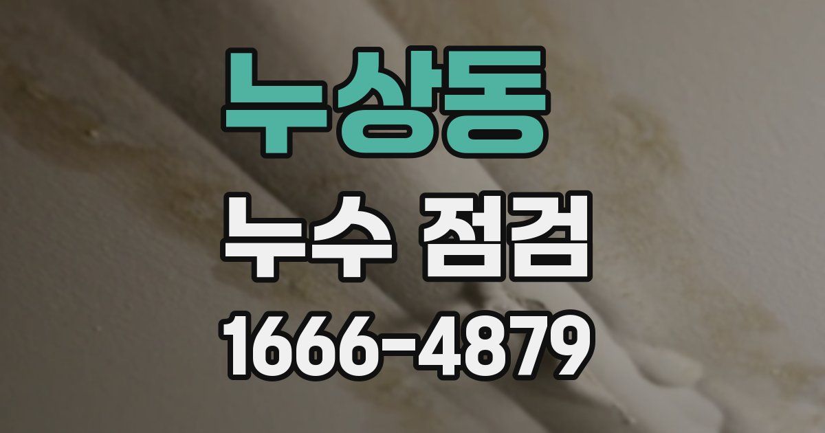 누상동 누수 점검