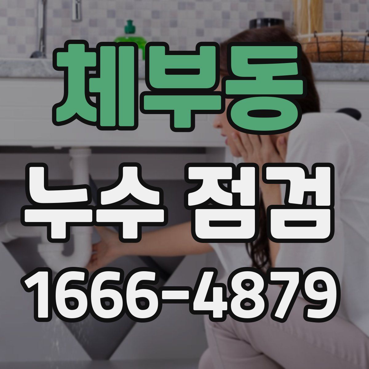 체부동 누수 점검