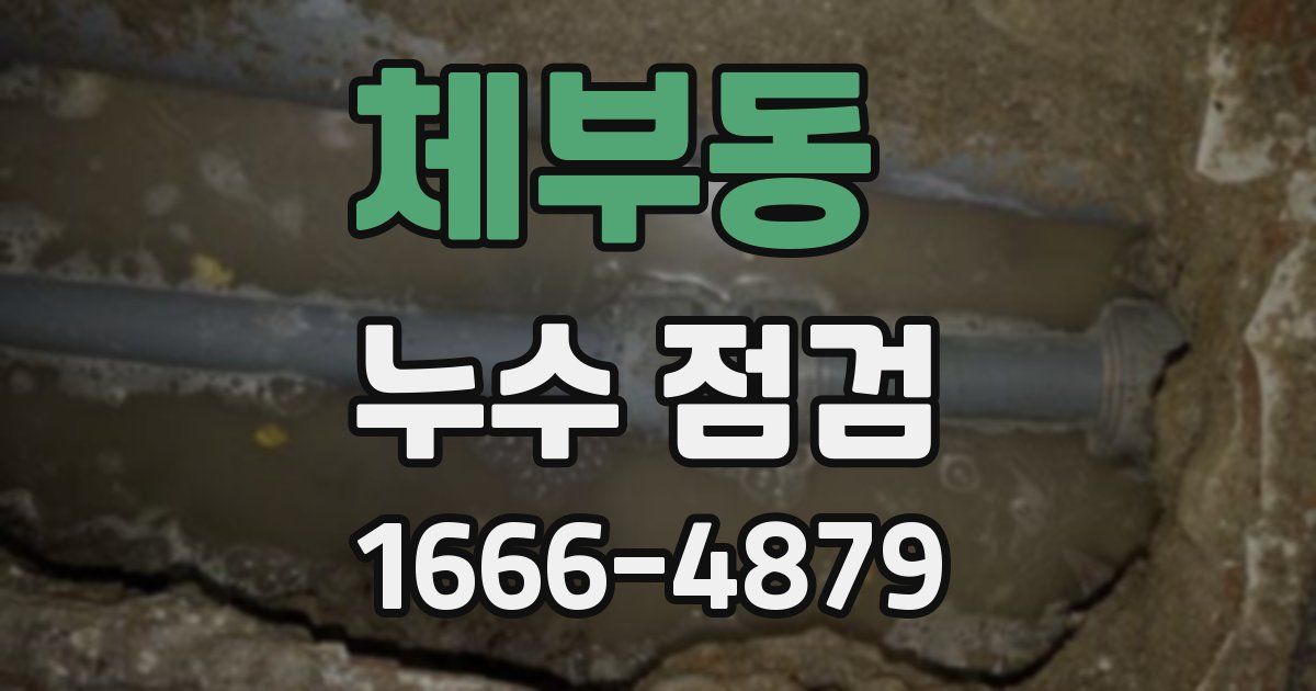 체부동 누수 점검