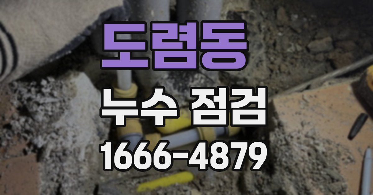 도렴동 누수 점검