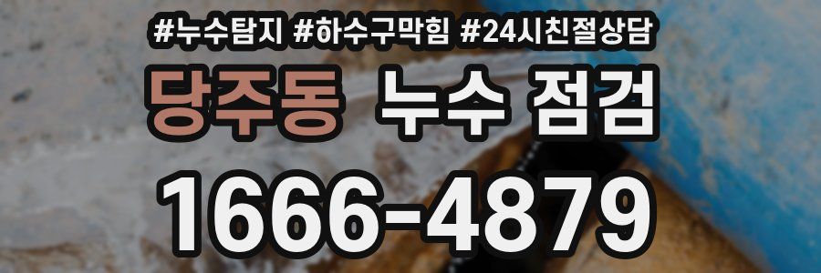 당주동 누수 점검